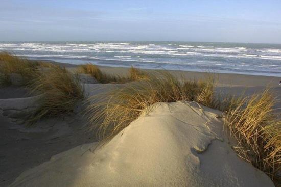 لو كْروتْوَ Cote Dune المظهر الخارجي الصورة